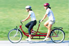 Hoenig Mobility: Spezialtandem Copilot - Rollstuhl-/Fahrradkombination Rollfiets NT
